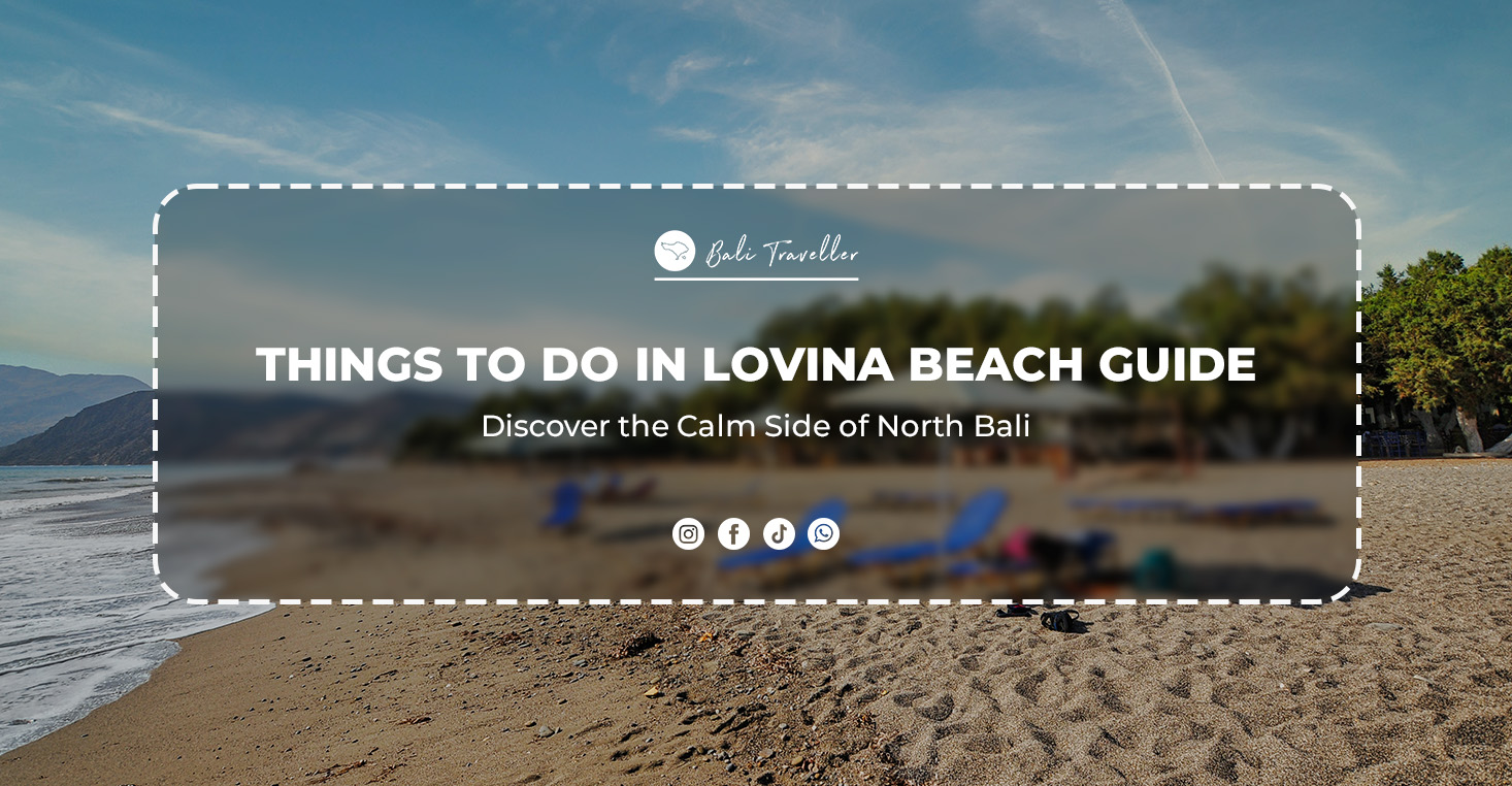 Things to Do in Lovina Beach Guide. Discover the Calm Side of North Bali