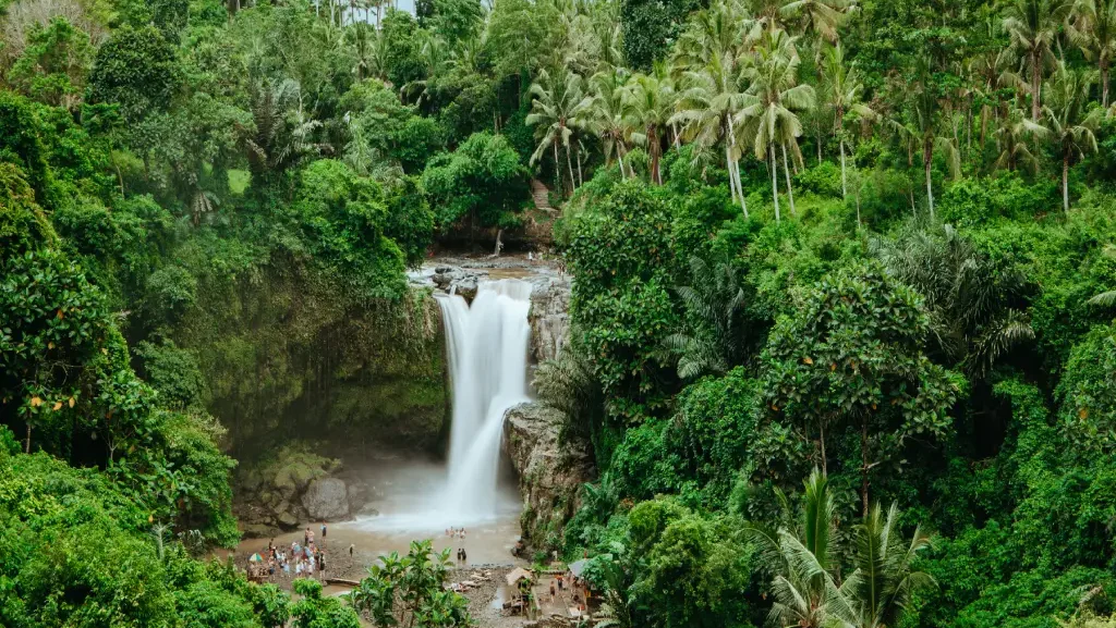 7 Must-Visit Waterfalls Near Ubud (With Swimming & Hiking Tips)