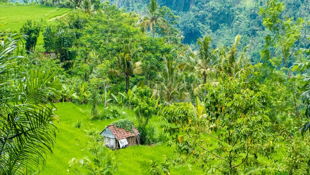 Sidemen Valley: Discovering Bali’s Most Peaceful Rural Escape